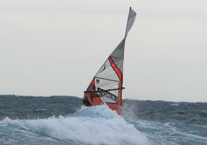 20081210_back 20081210_back