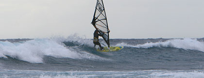 20081211_marius 20081211_marius