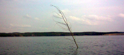 20080330_saka
