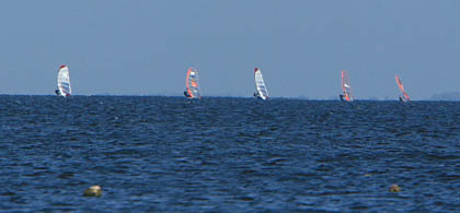 20080501_horizontas 20080501_horizontas