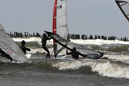20081005_3d_musa 20081005_3d_musa