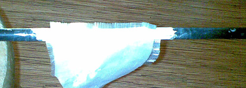 20090516_late_audinys 20090516_late_audinys