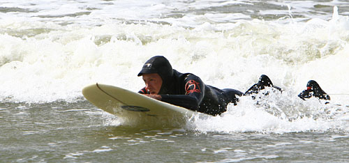 surferis surferis