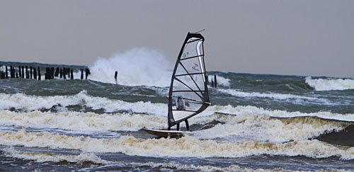 20091129_algis18
