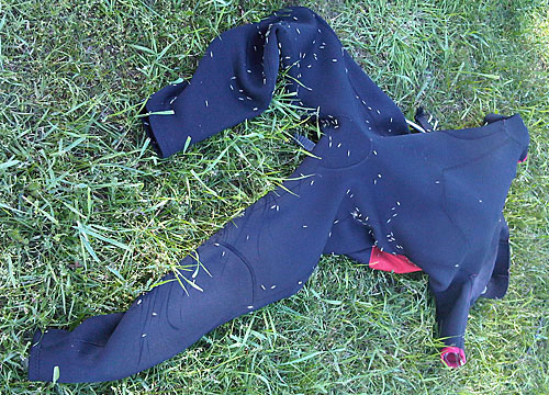 20100528_kostiumas