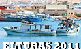 119_elturas2011 119_elturas2011