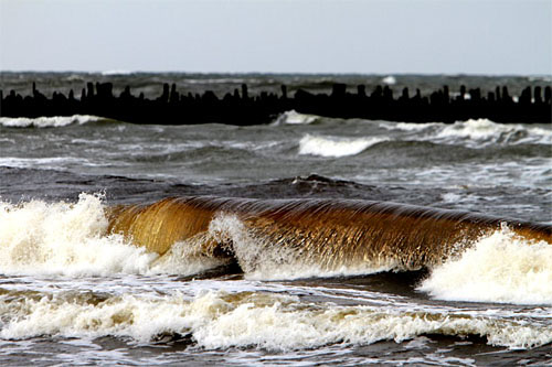 mb2011_jura mb2011_jura