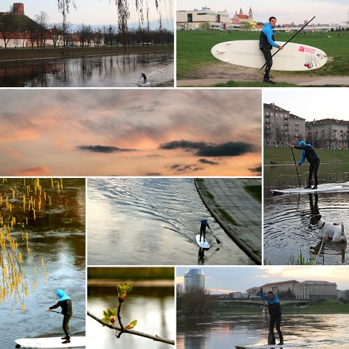 20120425_sup_mozaika