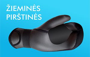 burlentes pirstines ION